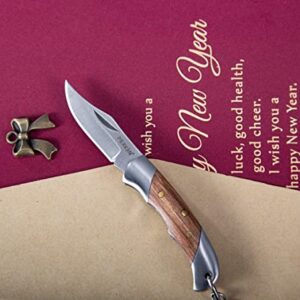 Pocket knife UK Legal, Foldable and Non- Locking Legal to Carry - NFL66