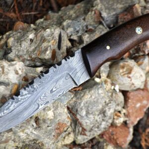 Handmade Damascus Hunting Knife With Burl Walnut Wood